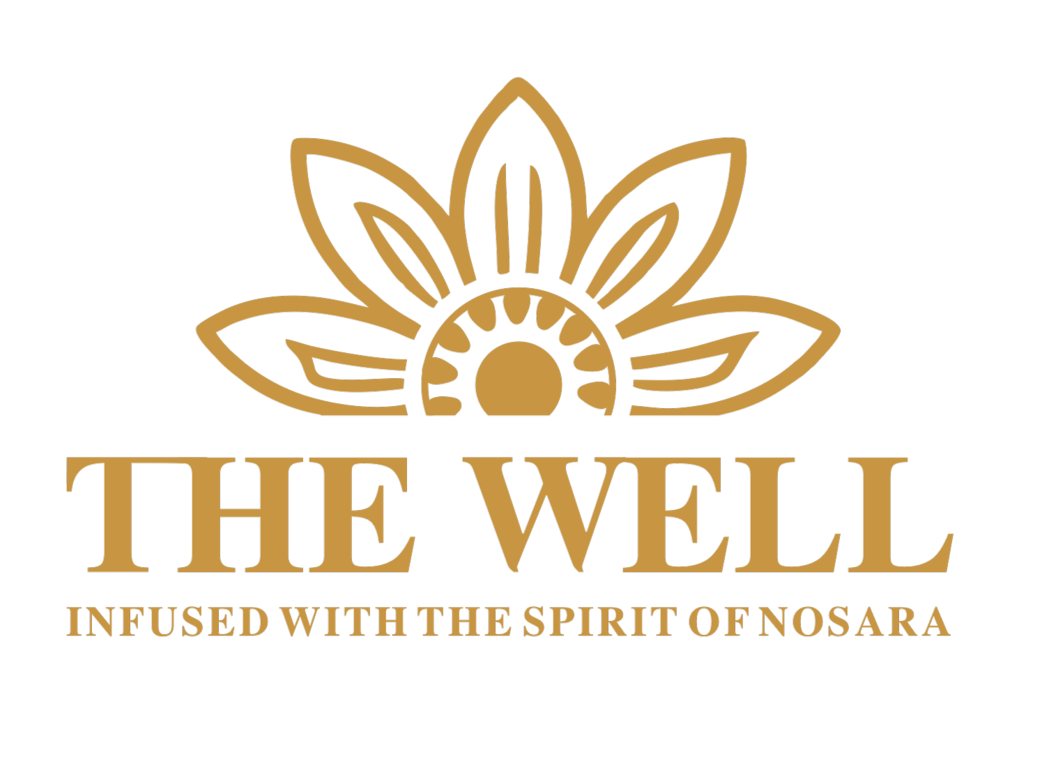 The Well Nosara